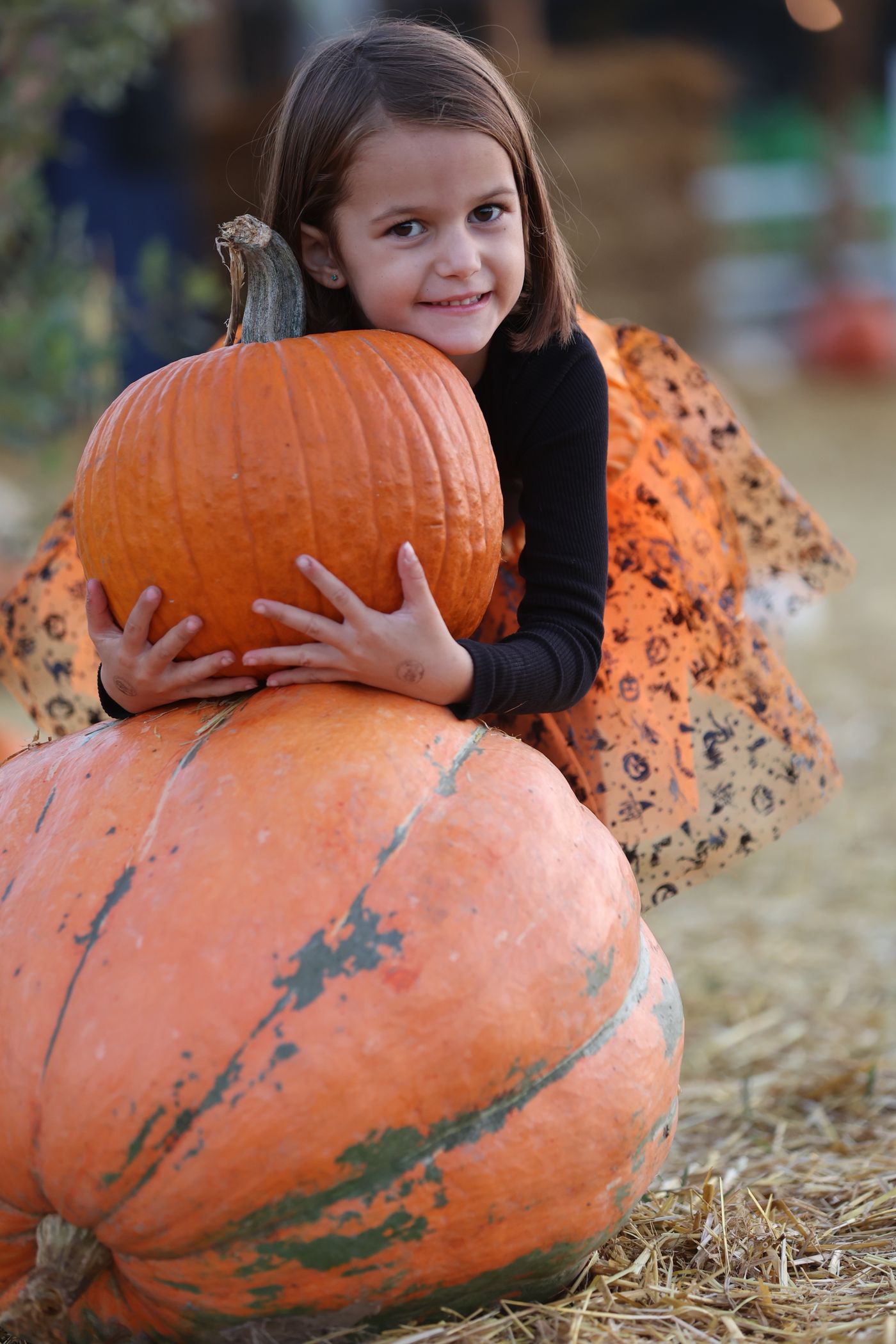 A child embraces a large pumpkin at an autumn display.