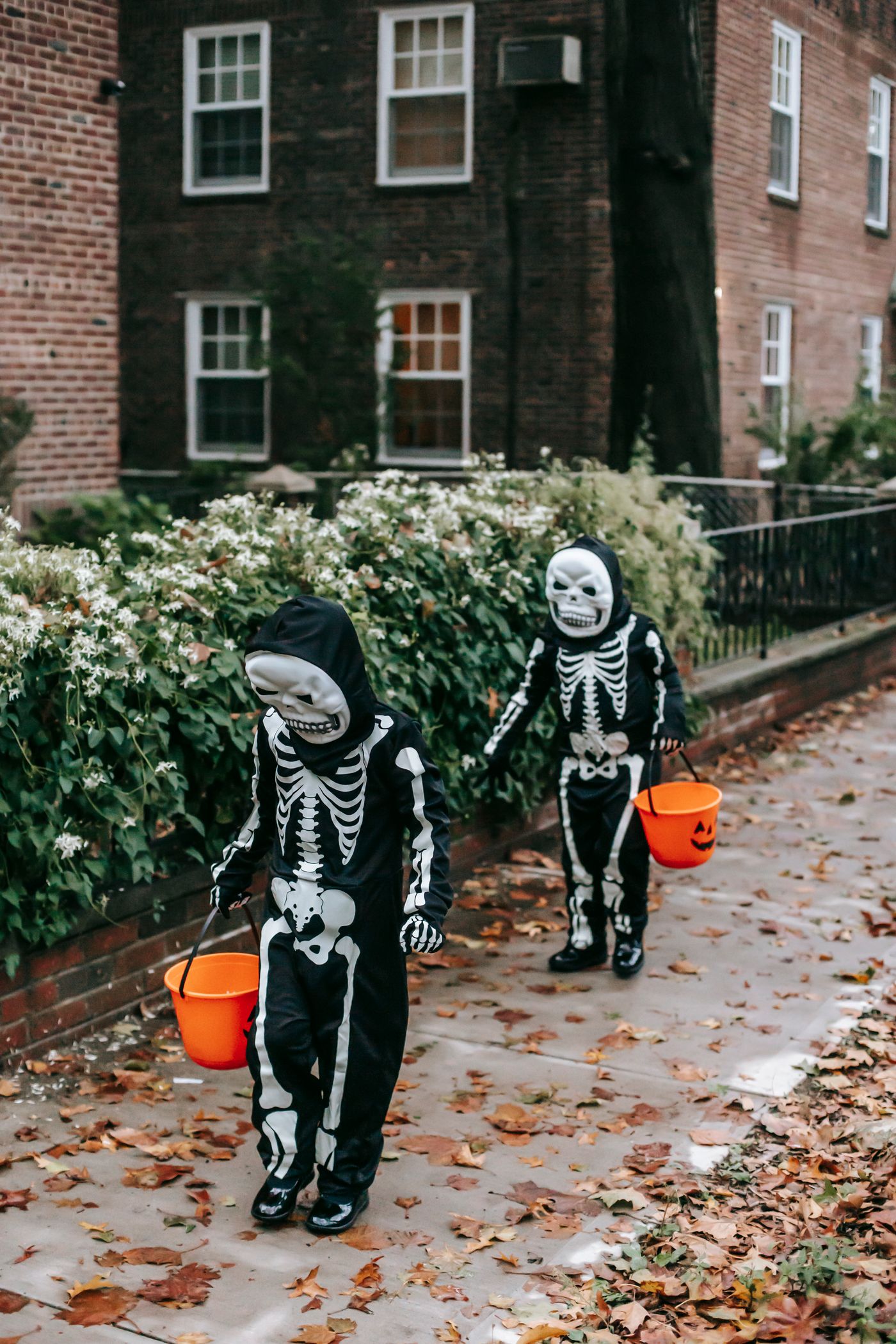 Two children in skeleton costumes walk outdoors carrying a pumpkin pail.